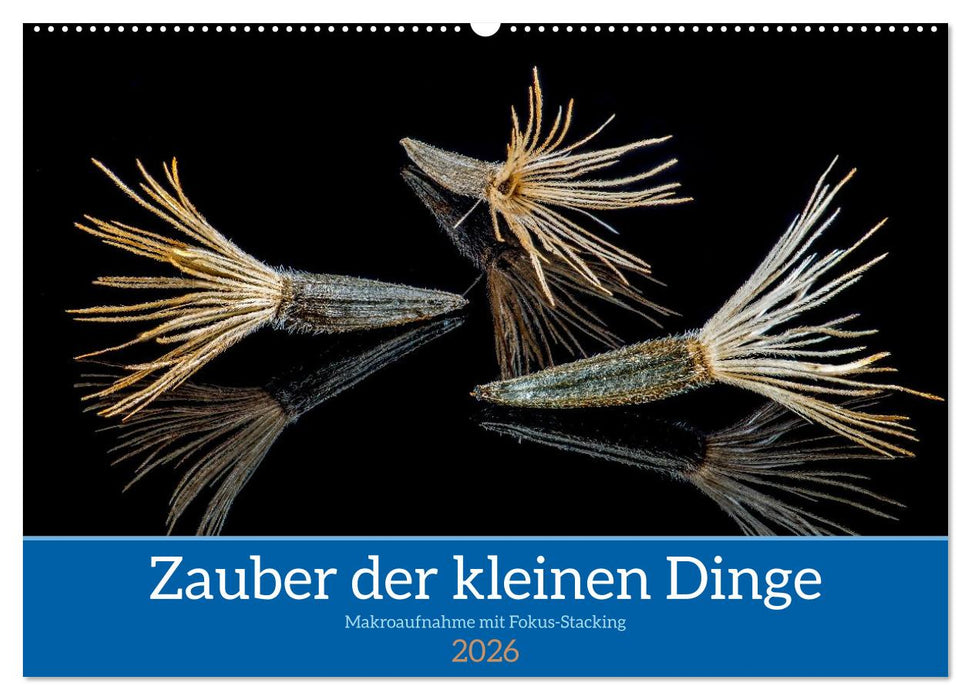 Zauber der kleinen Dinge (CALVENDO Wandkalender 2026)
