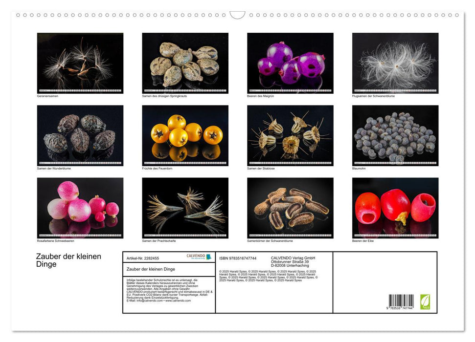 Zauber der kleinen Dinge (CALVENDO Wandkalender 2026)