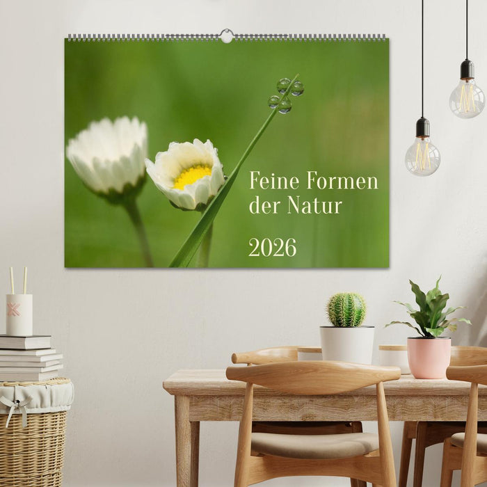Feine Formen der Natur (CALVENDO Wandkalender 2026)