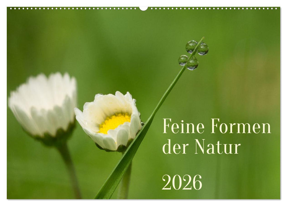 Feine Formen der Natur (CALVENDO Wandkalender 2026)