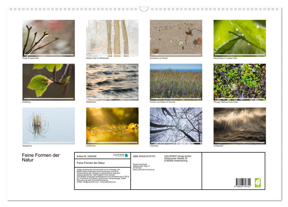 Feine Formen der Natur (CALVENDO Wandkalender 2026)