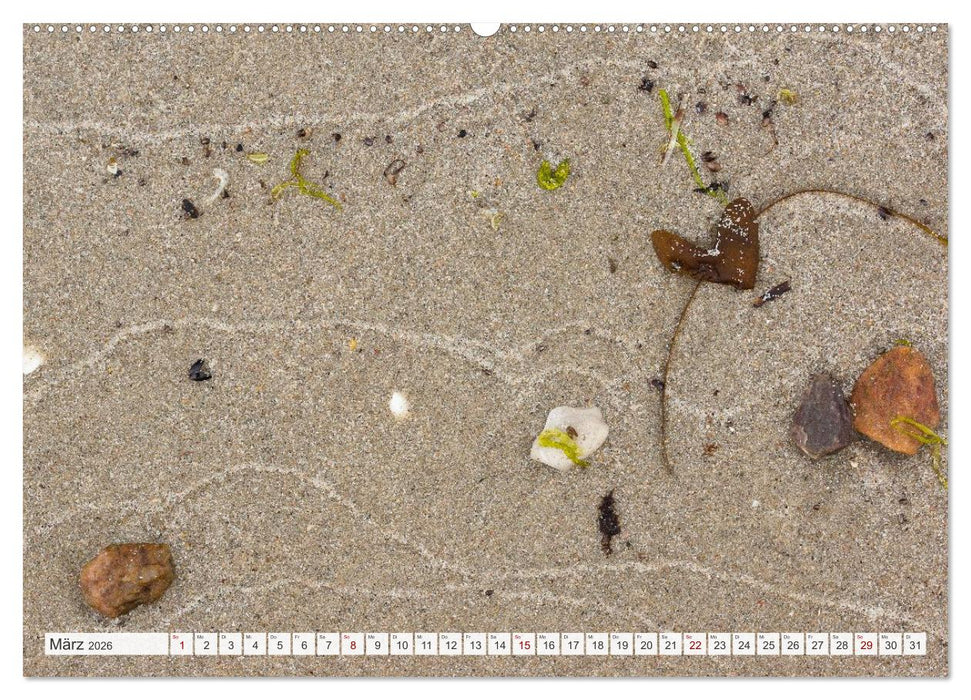 Feine Formen der Natur (CALVENDO Wandkalender 2026)