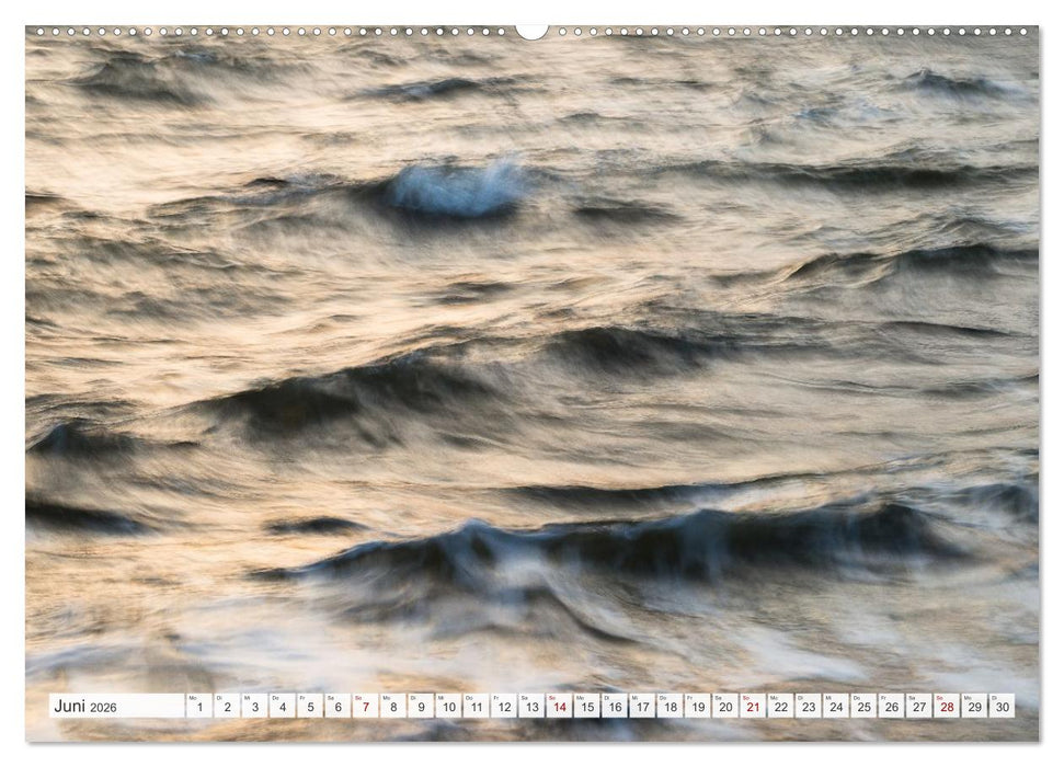 Feine Formen der Natur (CALVENDO Wandkalender 2026)