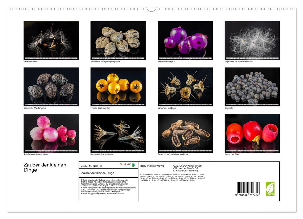 Zauber der kleinen Dinge (CALVENDO Premium Wandkalender 2026)