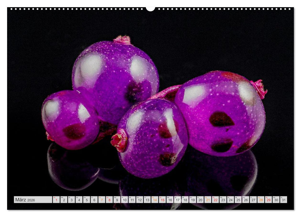 Zauber der kleinen Dinge (CALVENDO Premium Wandkalender 2026)