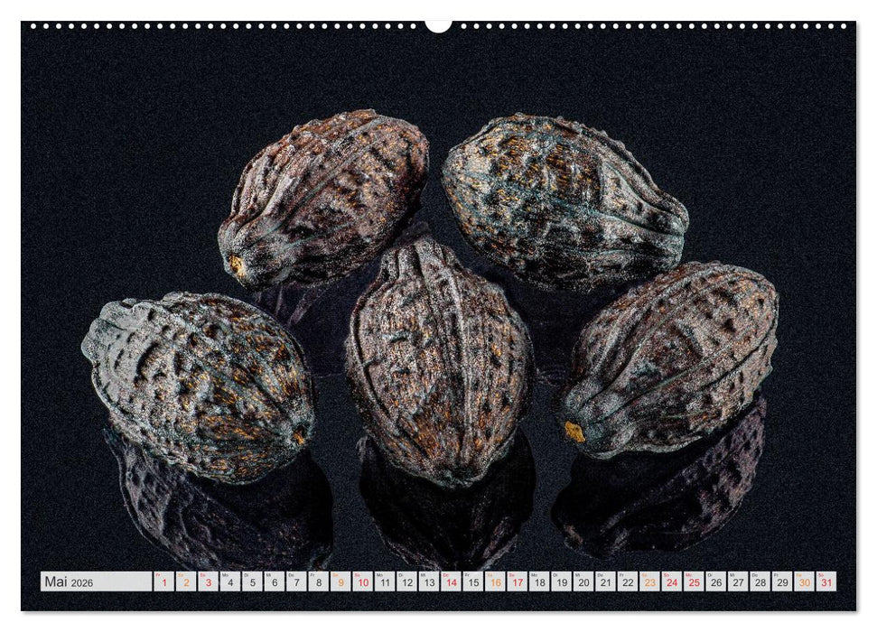 Zauber der kleinen Dinge (CALVENDO Premium Wandkalender 2026)