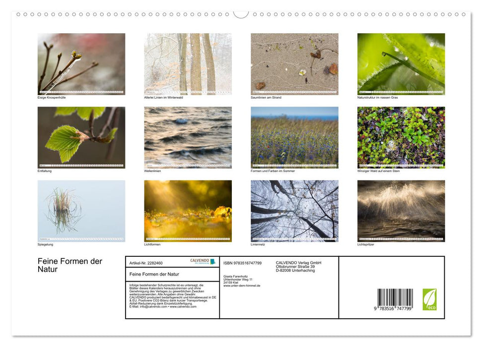 Feine Formen der Natur (CALVENDO Premium Wandkalender 2026)