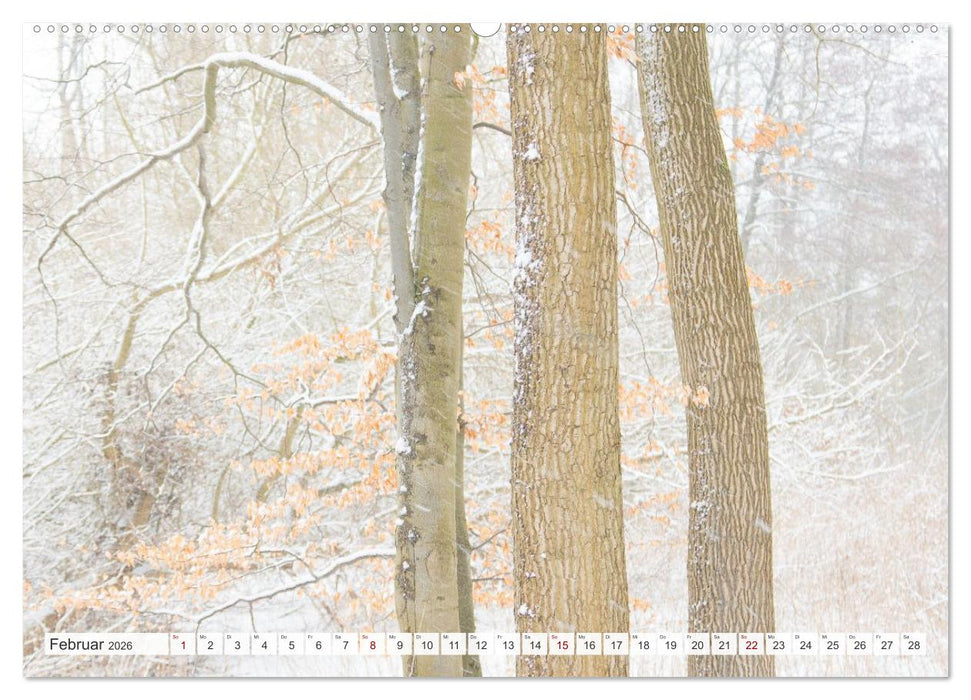 Feine Formen der Natur (CALVENDO Premium Wandkalender 2026)