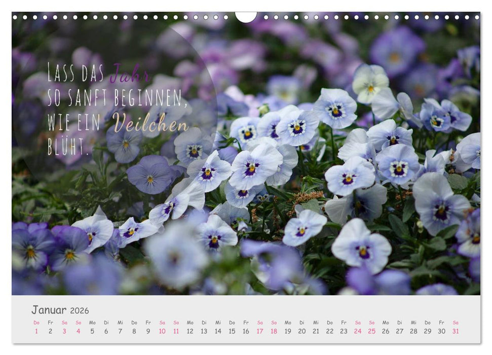 Sanfte Blüten – leise Worte (CALVENDO Wandkalender 2026)