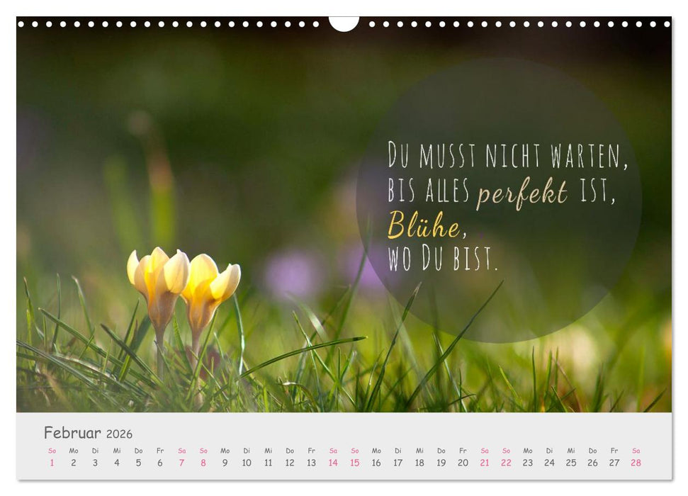 Sanfte Blüten – leise Worte (CALVENDO Wandkalender 2026)