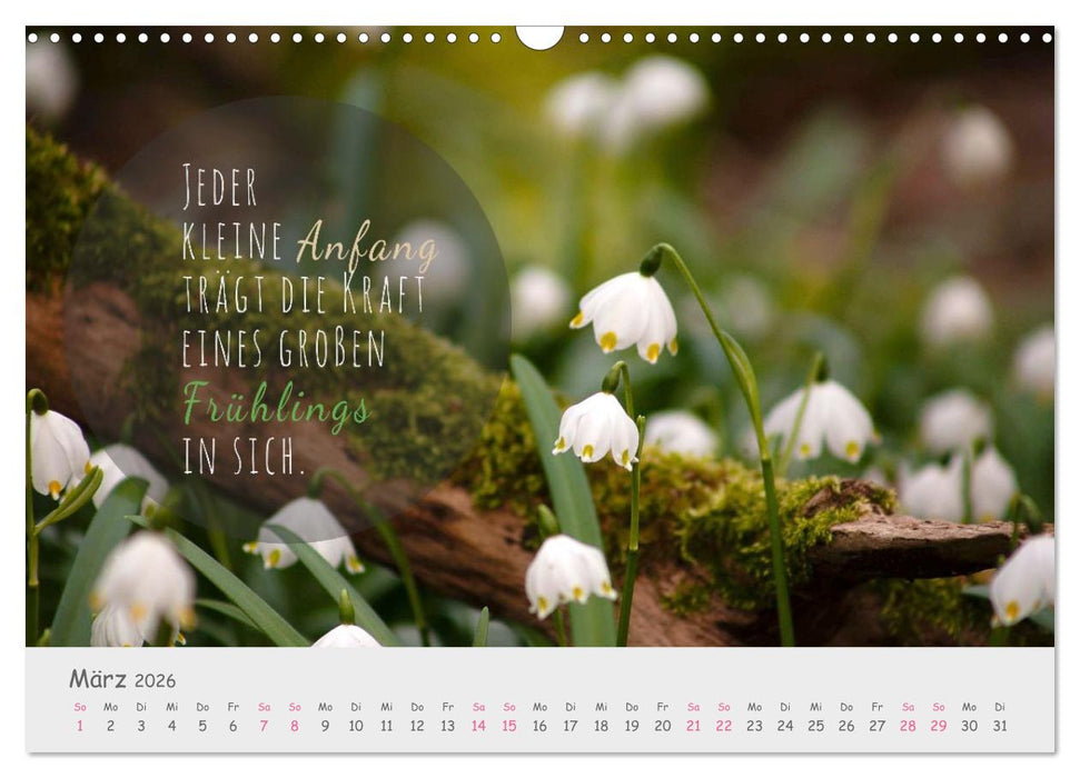 Sanfte Blüten – leise Worte (CALVENDO Wandkalender 2026)