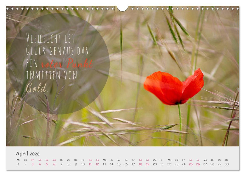 Sanfte Blüten – leise Worte (CALVENDO Wandkalender 2026)
