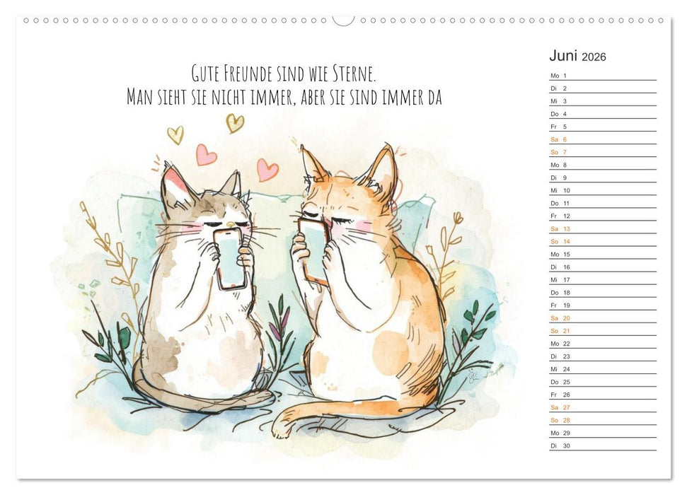 Kleine Schnurr-Momente fürs Herz (CALVENDO Wandkalender 2026)