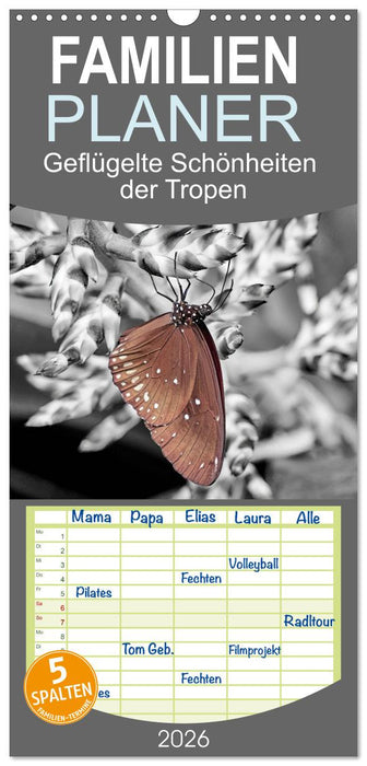Geflügelte Schönheiten der Tropen (CALVENDO Familienplaner 2026)