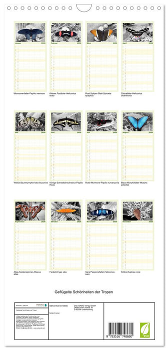 Geflügelte Schönheiten der Tropen (CALVENDO Familienplaner 2026)