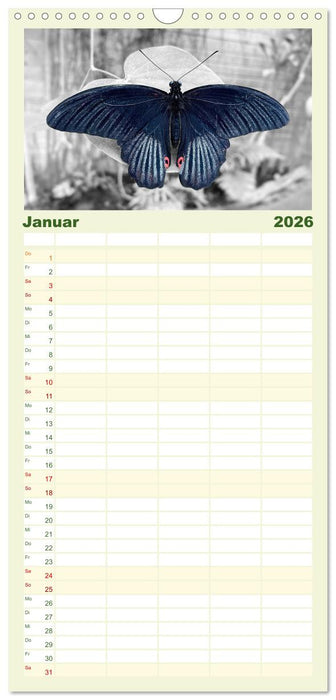 Geflügelte Schönheiten der Tropen (CALVENDO Familienplaner 2026)