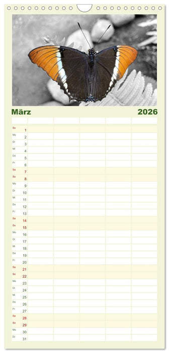 Geflügelte Schönheiten der Tropen (CALVENDO Familienplaner 2026)