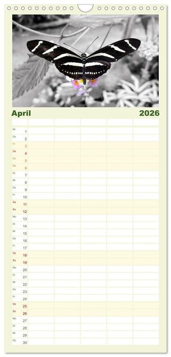 Geflügelte Schönheiten der Tropen (CALVENDO Familienplaner 2026)