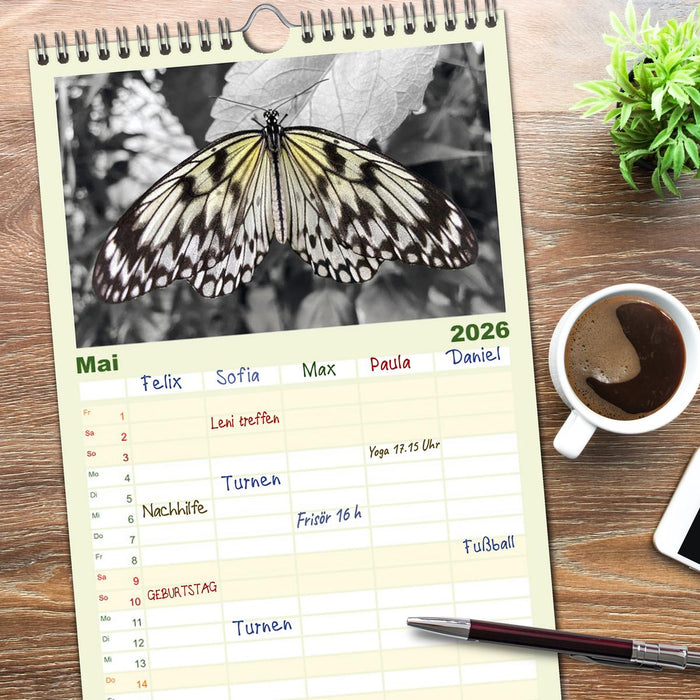 Geflügelte Schönheiten der Tropen (CALVENDO Familienplaner 2026)