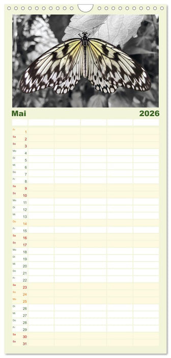 Geflügelte Schönheiten der Tropen (CALVENDO Familienplaner 2026)