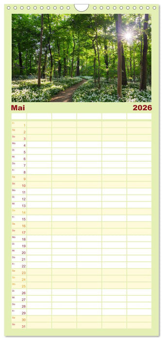 Stimmungsvolle Landschaften in Sachsen (CALVENDO Familienplaner 2026)