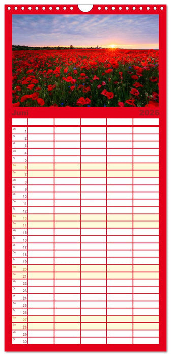 Stimmungsvolle Landschaften in Sachsen (CALVENDO Familienplaner 2026)