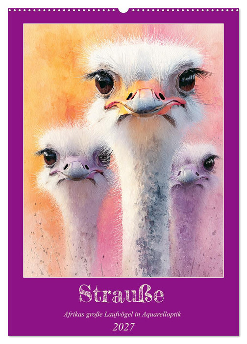 Strauße. Afrikas große Laufvögel in Aquarelloptik (CALVENDO Wandkalender 2027)
