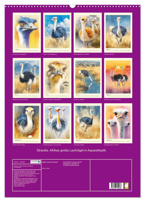 Strauße. Afrikas große Laufvögel in Aquarelloptik (CALVENDO Wandkalender 2027)