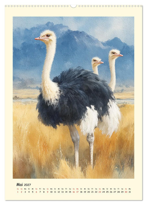 Strauße. Afrikas große Laufvögel in Aquarelloptik (CALVENDO Wandkalender 2027)
