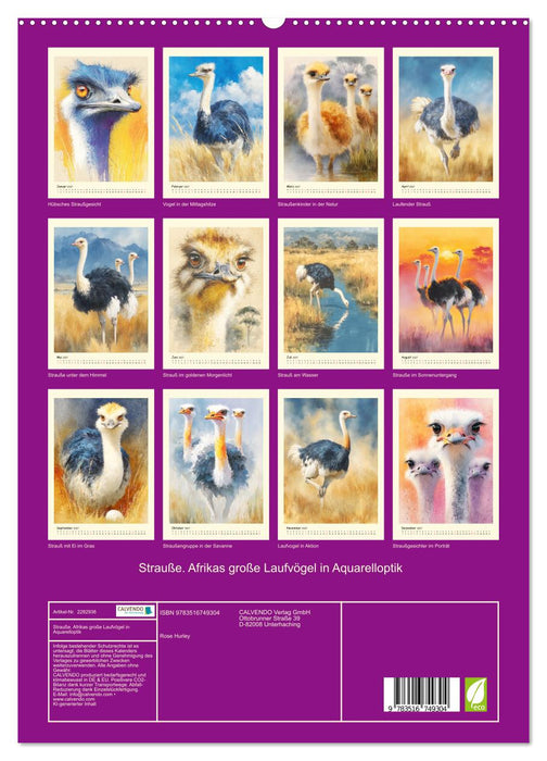 Strauße. Afrikas große Laufvögel in Aquarelloptik (CALVENDO Premium Wandkalender 2027)