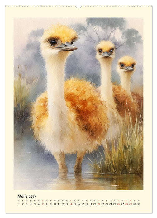 Strauße. Afrikas große Laufvögel in Aquarelloptik (CALVENDO Premium Wandkalender 2027)