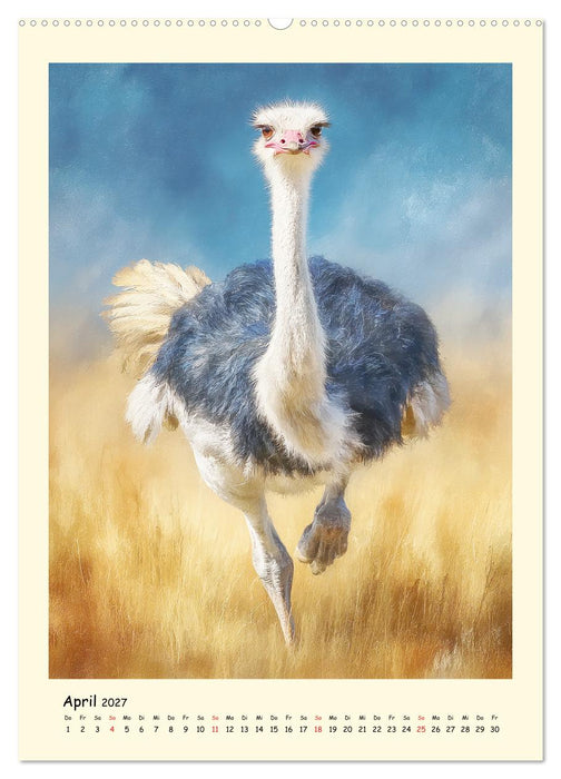 Strauße. Afrikas große Laufvögel in Aquarelloptik (CALVENDO Premium Wandkalender 2027)