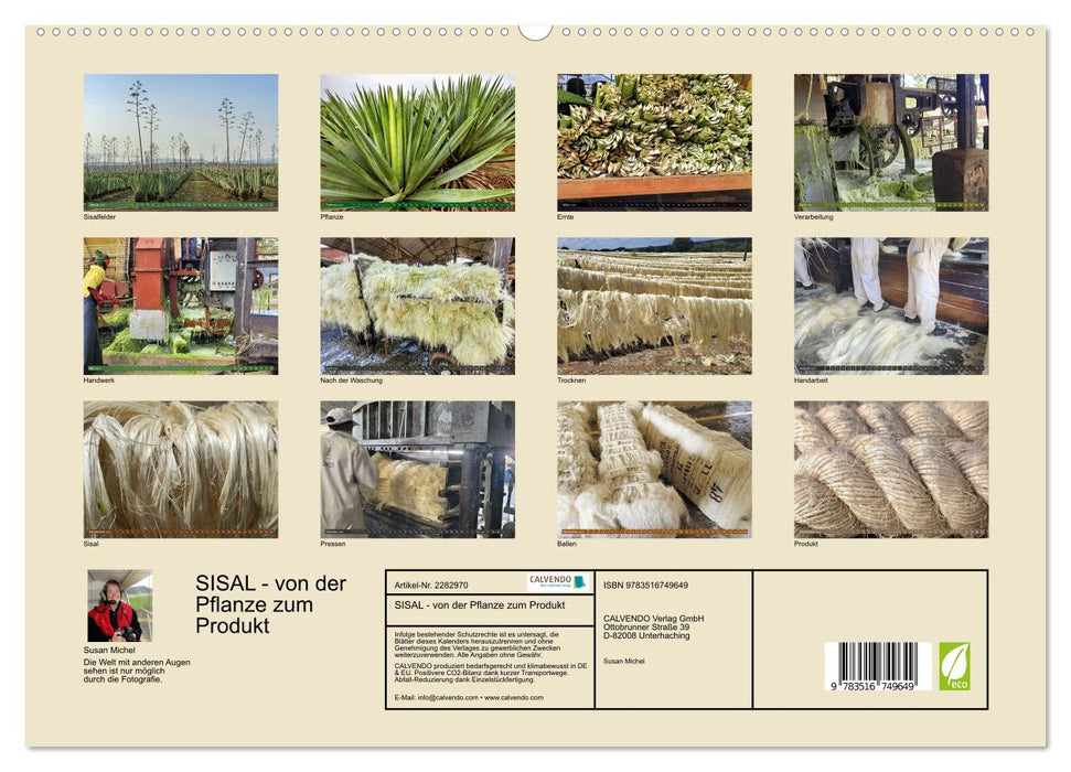 SISAL - von der Pflanze zum Produkt (CALVENDO Premium Wandkalender 2027)