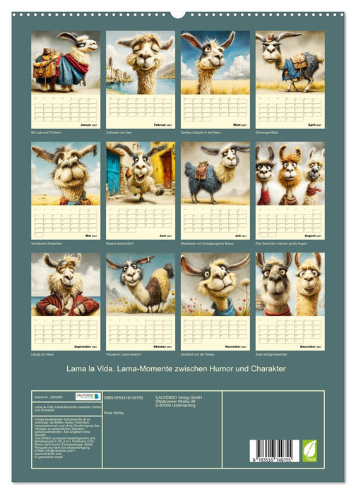 Lama la Vida. Lama-Momente zwischen Humor und Charakter (CALVENDO Premium Wandkalender 2027)