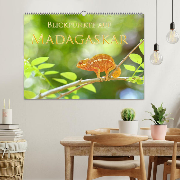 Blickpunkte auf Madagaskar (CALVENDO Wandkalender 2027)