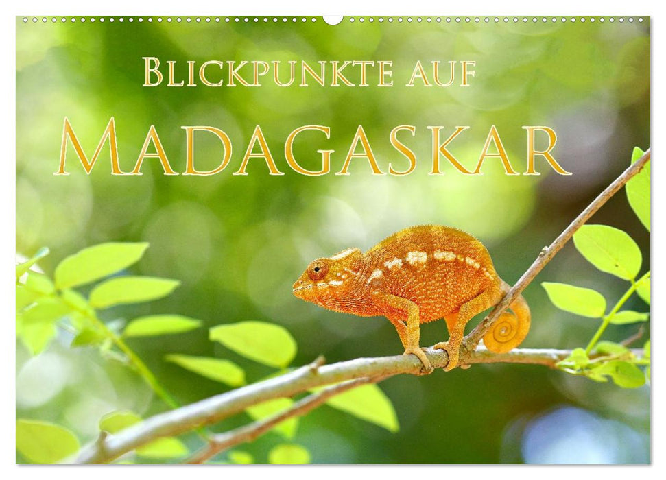Blickpunkte auf Madagaskar (CALVENDO Wandkalender 2027)
