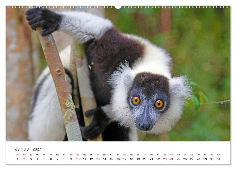 Blickpunkte auf Madagaskar (CALVENDO Wandkalender 2027)