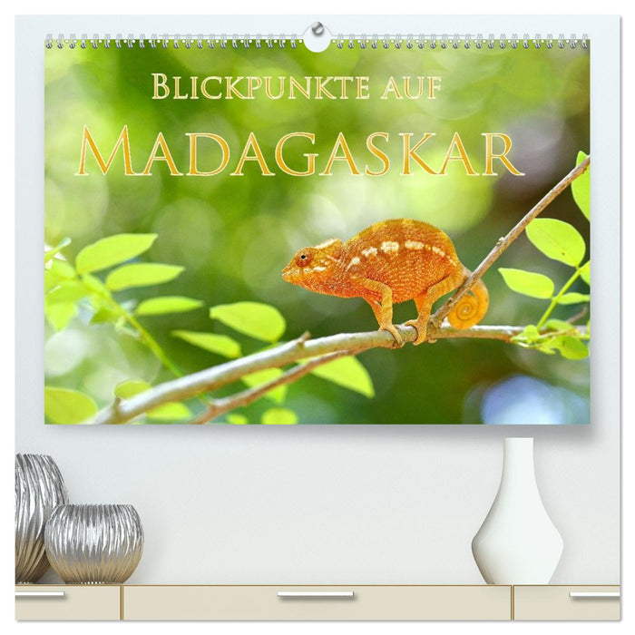 Blickpunkte auf Madagaskar (CALVENDO Premium Wandkalender 2027)