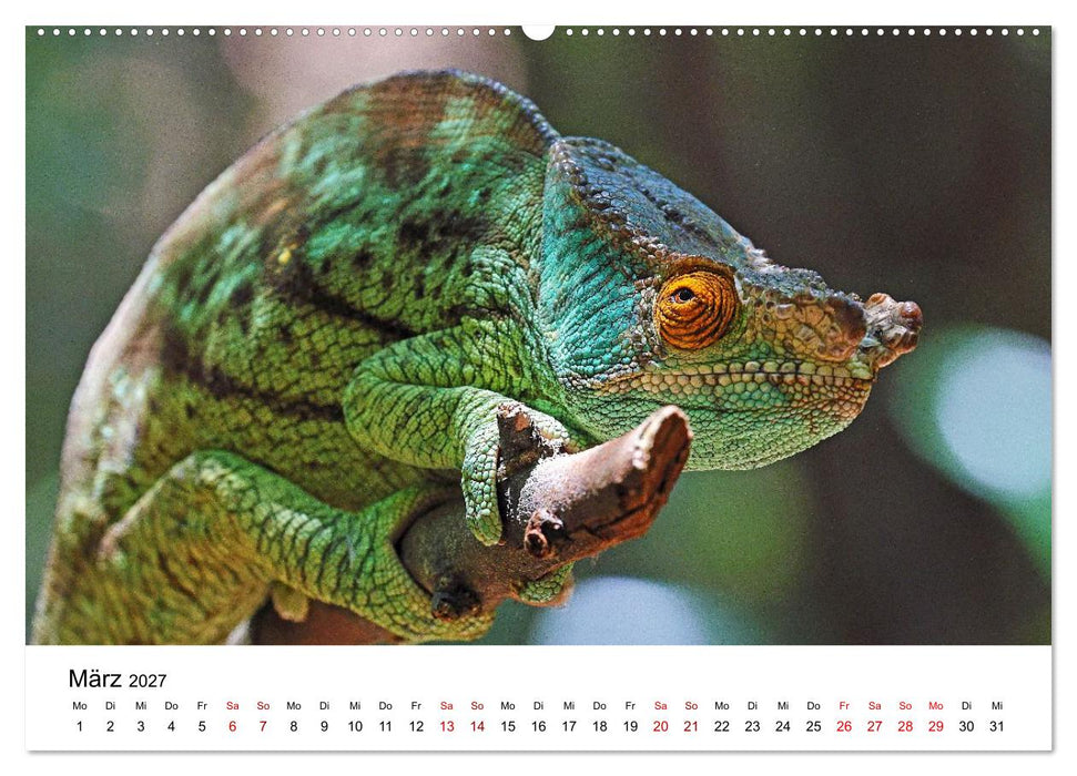 Blickpunkte auf Madagaskar (CALVENDO Premium Wandkalender 2027)