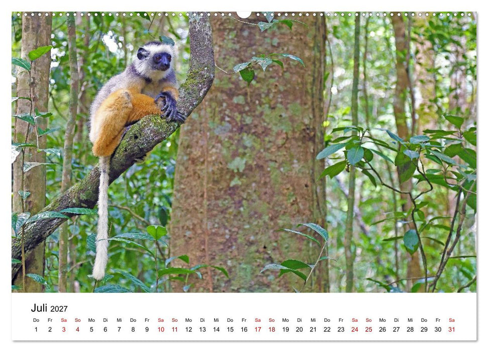 Blickpunkte auf Madagaskar (CALVENDO Premium Wandkalender 2027)