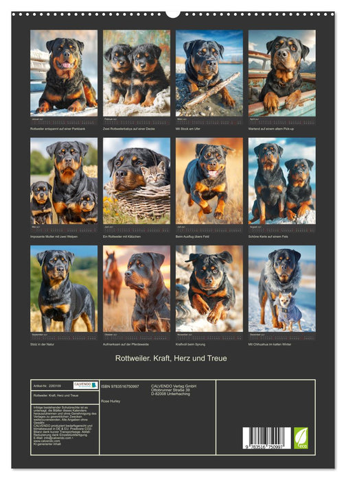 Rottweiler. Kraft, Herz und Treue (CALVENDO Premium Wandkalender 2027)