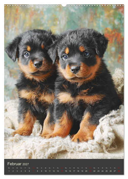 Rottweiler. Kraft, Herz und Treue (CALVENDO Premium Wandkalender 2027)