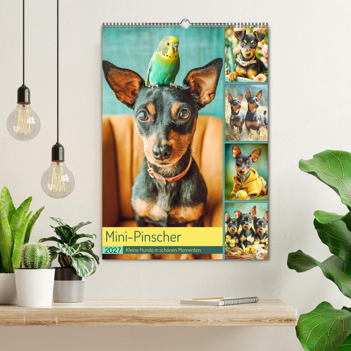 Mini-Pinscher. Kleine Hunde in schönen Momenten (CALVENDO Wandkalender 2027)