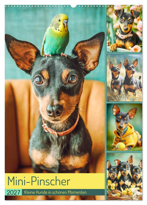 Mini-Pinscher. Kleine Hunde in schönen Momenten (CALVENDO Wandkalender 2027)