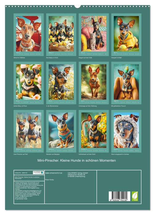 Mini-Pinscher. Kleine Hunde in schönen Momenten (CALVENDO Premium Wandkalender 2027)