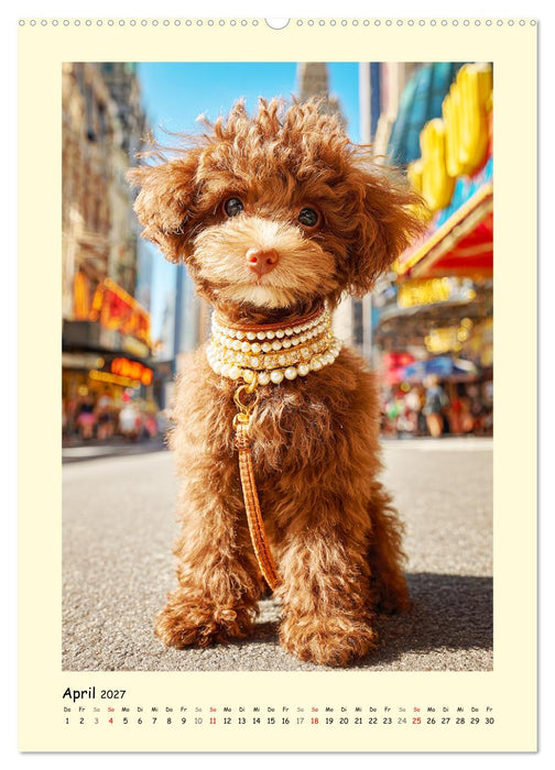 Pudelzauber. Flauschige Hunde für Herz und Seele (CALVENDO Wandkalender 2027)