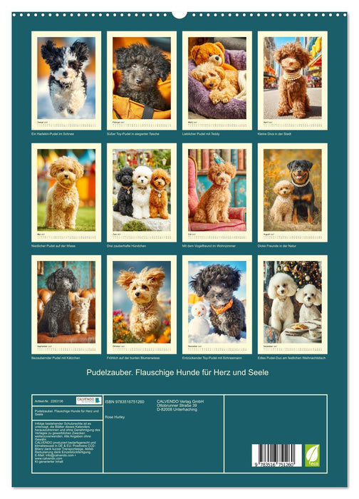 Pudelzauber. Flauschige Hunde für Herz und Seele (CALVENDO Premium Wandkalender 2027)