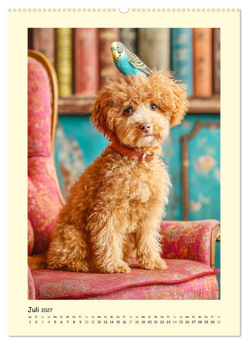 Pudelzauber. Flauschige Hunde für Herz und Seele (CALVENDO Premium Wandkalender 2027)