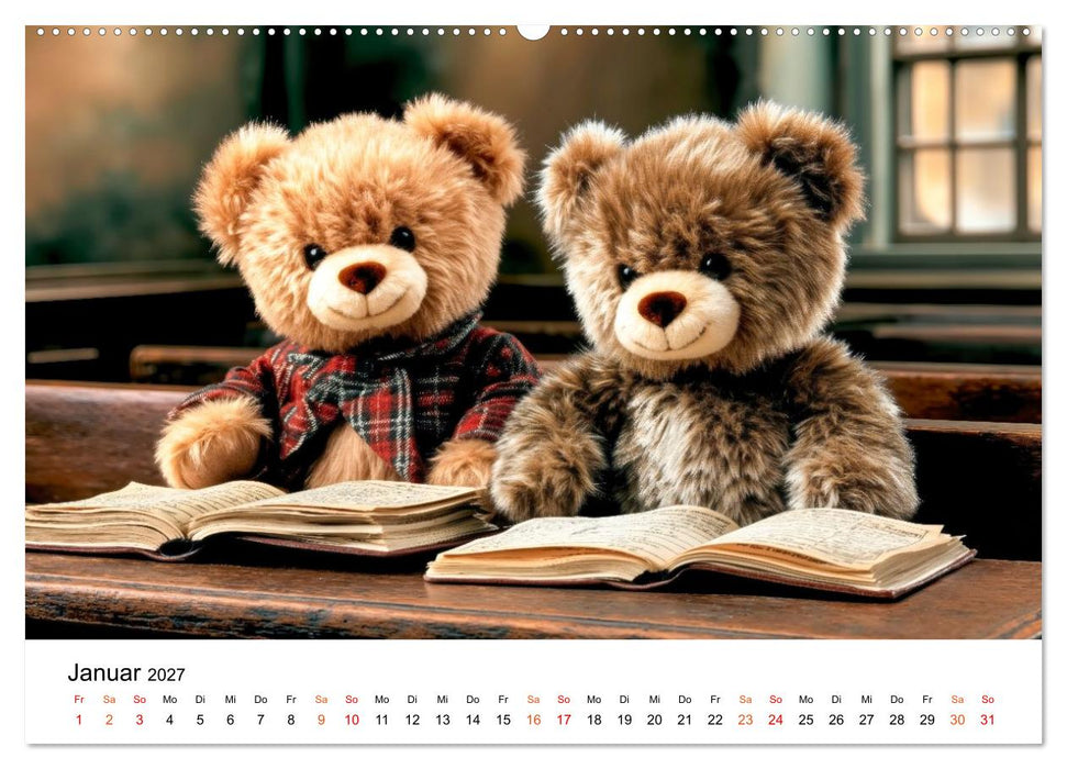 Teddybären - im Doppelpack durchs Jahr (CALVENDO Premium Wandkalender 2027)