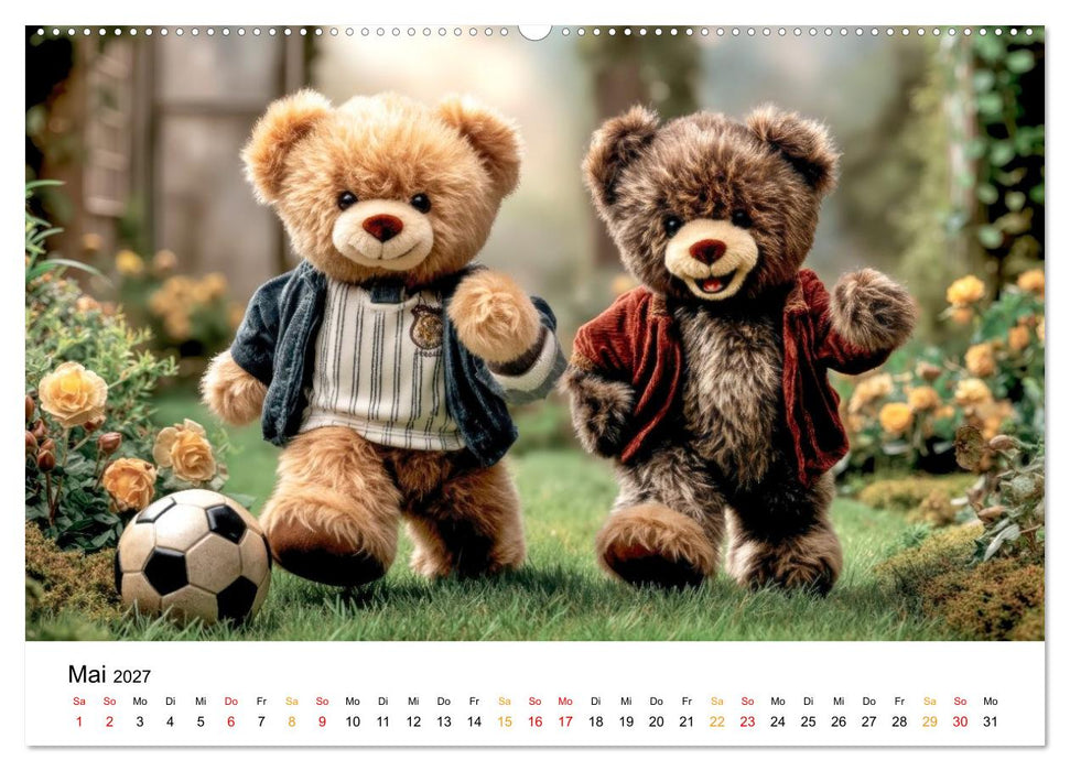Teddybären - im Doppelpack durchs Jahr (CALVENDO Premium Wandkalender 2027)